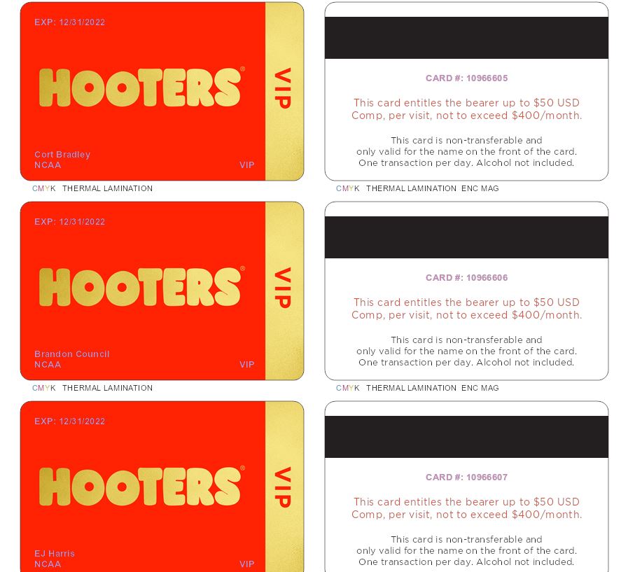 HOOTERS Version 01 Plastic Printers