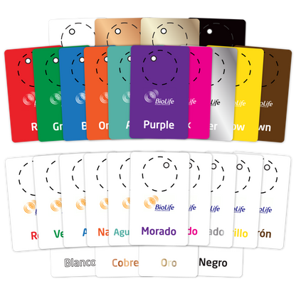 Colored Section Card Hanging - 25 Pack