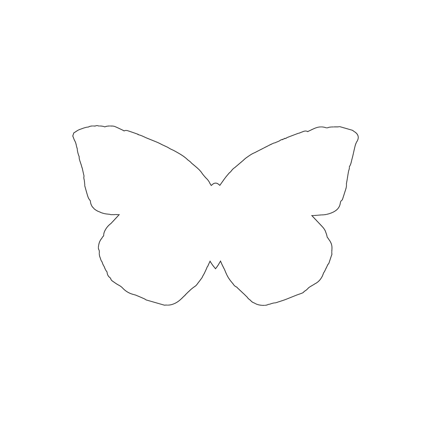 Custom Plastic 3.375" x 2.125" Butterfly Shape Cards