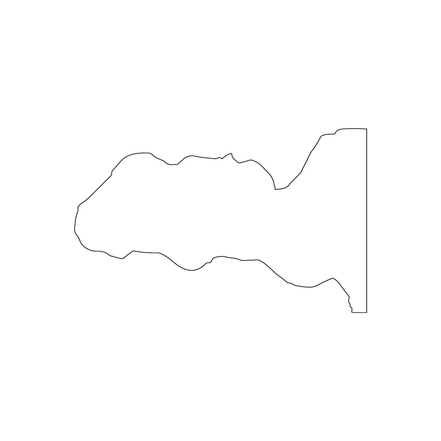 Custom Plastic 3.375" x 2.125" Silhouette Shape Cards