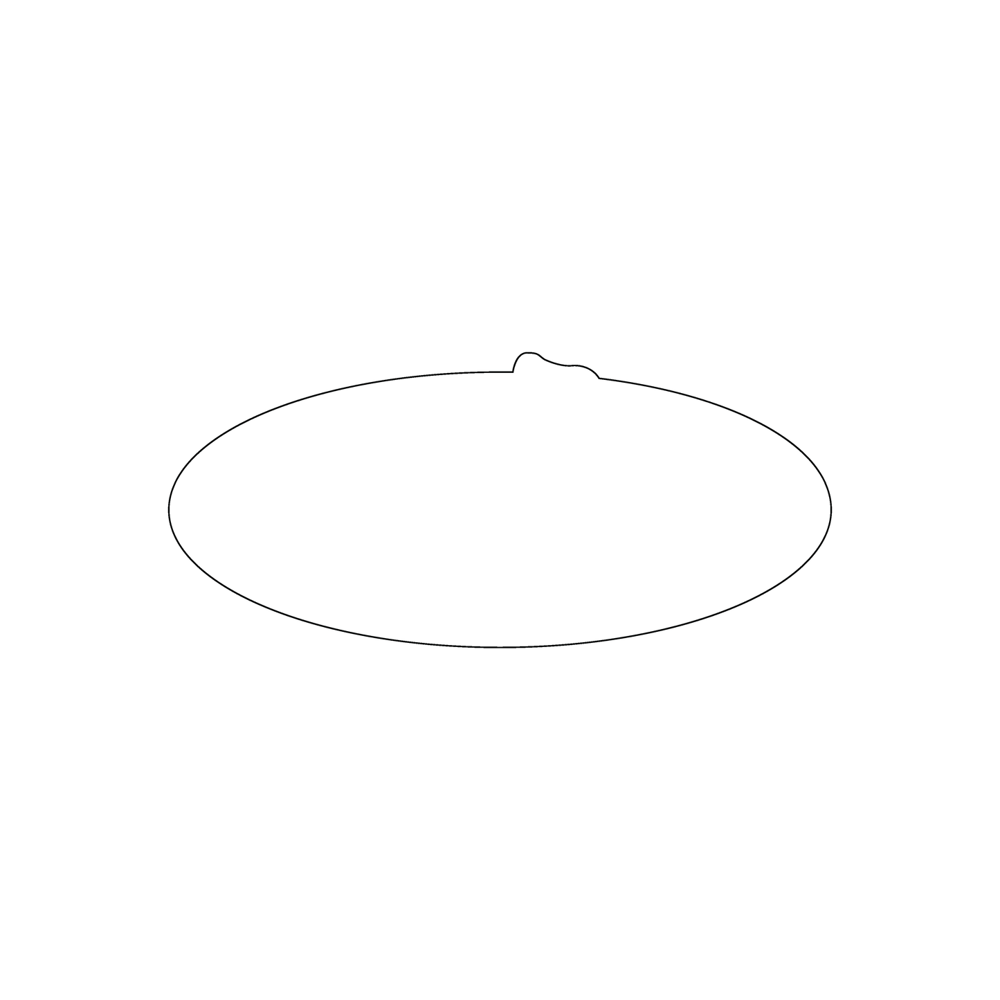 Custom Plastic 3.375" x 1.5" Oval Cards