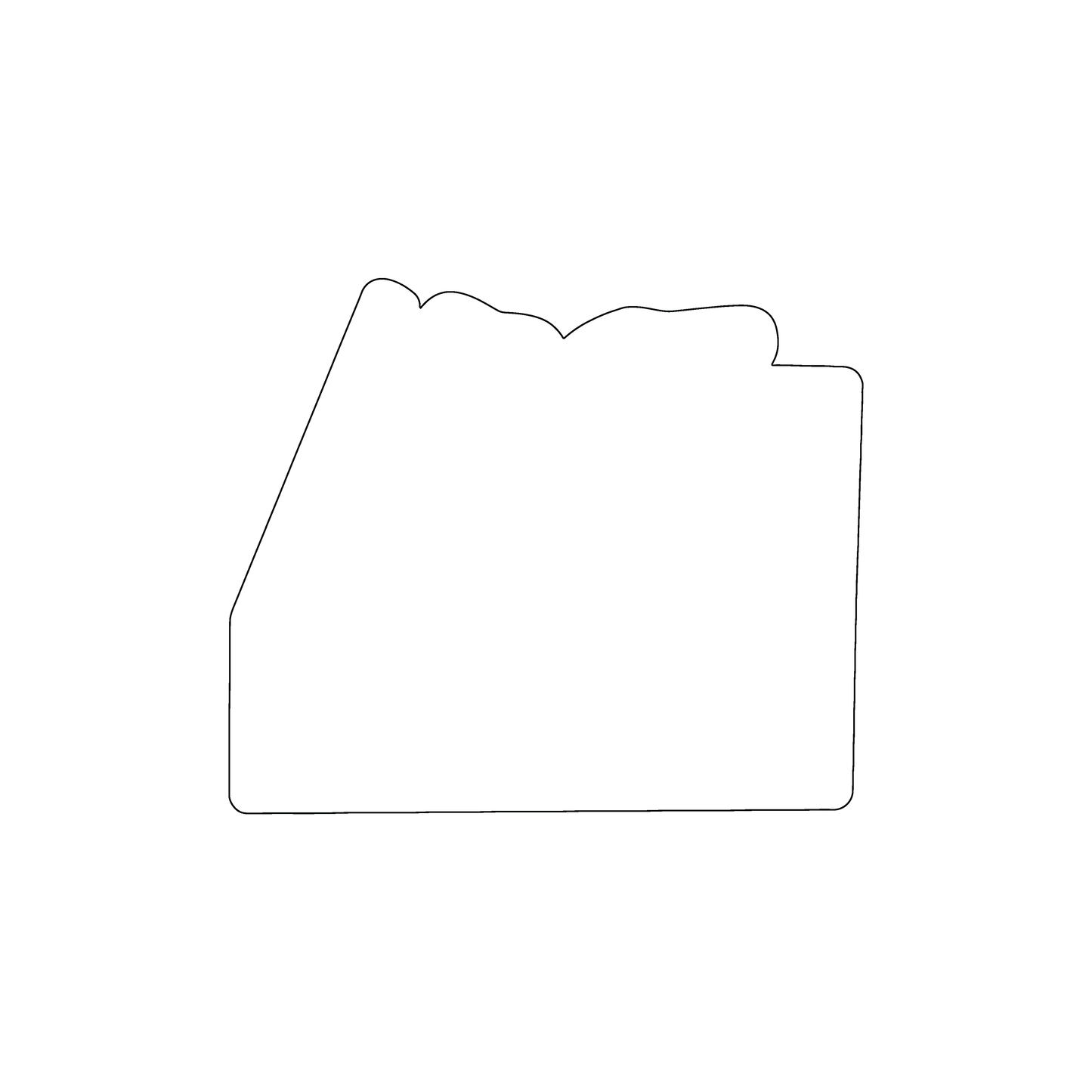 Custom Plastic 2.7" x 3.2" Arizona Shape Cards