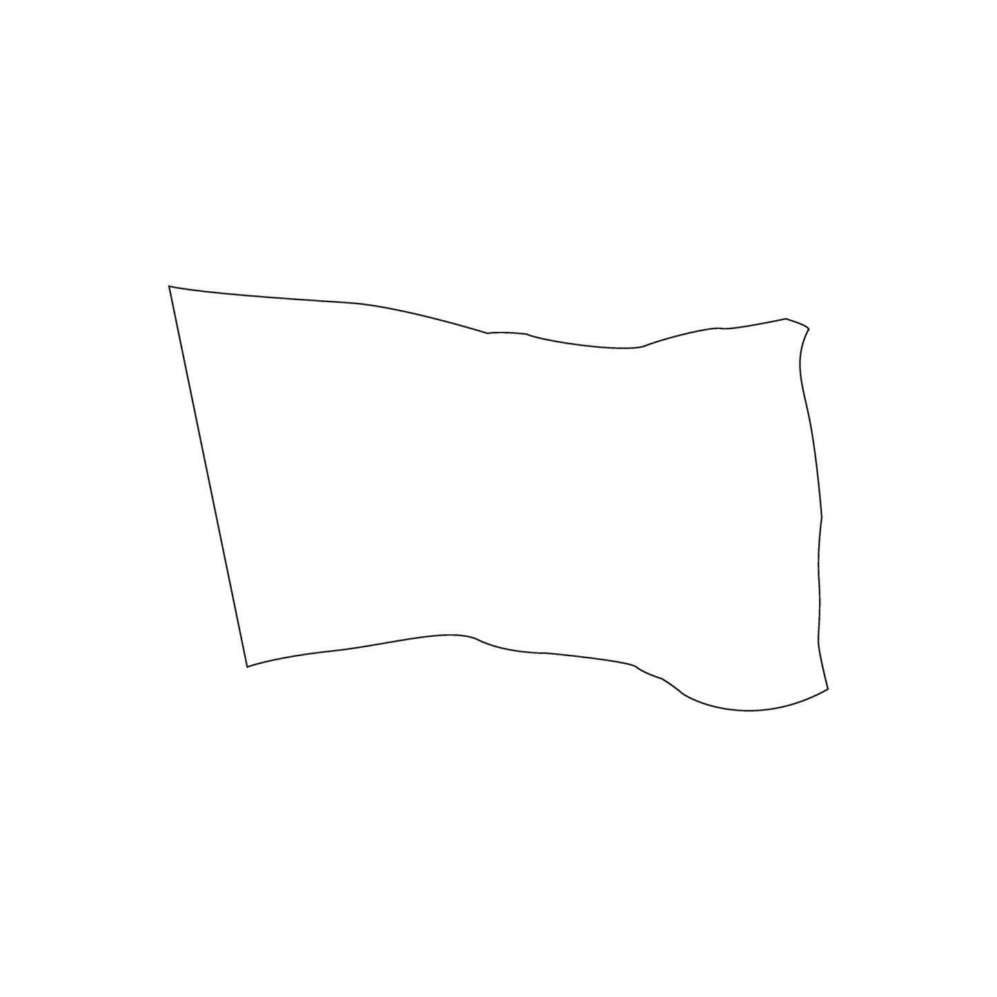 Custom Plastic 3.375" x 2.125" Flag Shape Cards
