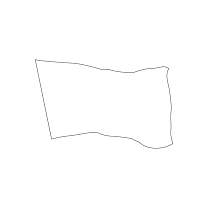 Custom Plastic 3.375" x 2.125" Flag Shape Cards
