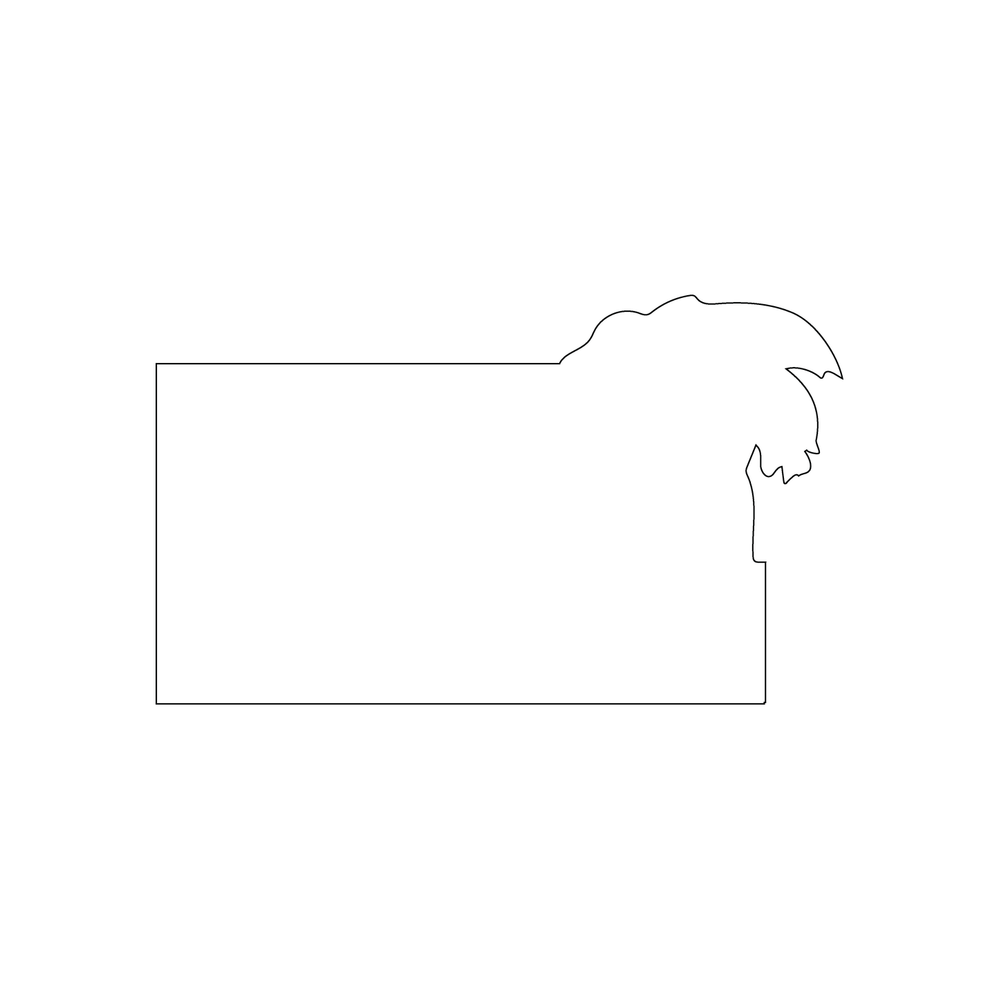 Custom Plastic 4" x 2.38" with Corner Palm Tree Shape Cards