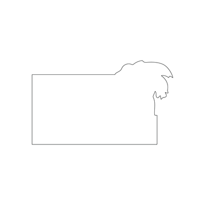 Custom Plastic 4" x 2.38" with Corner Palm Tree Shape Cards