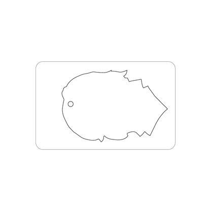 Custom Plastic 3.375" x 2.125" Punch-Out Unique Shape Key Tag Combo