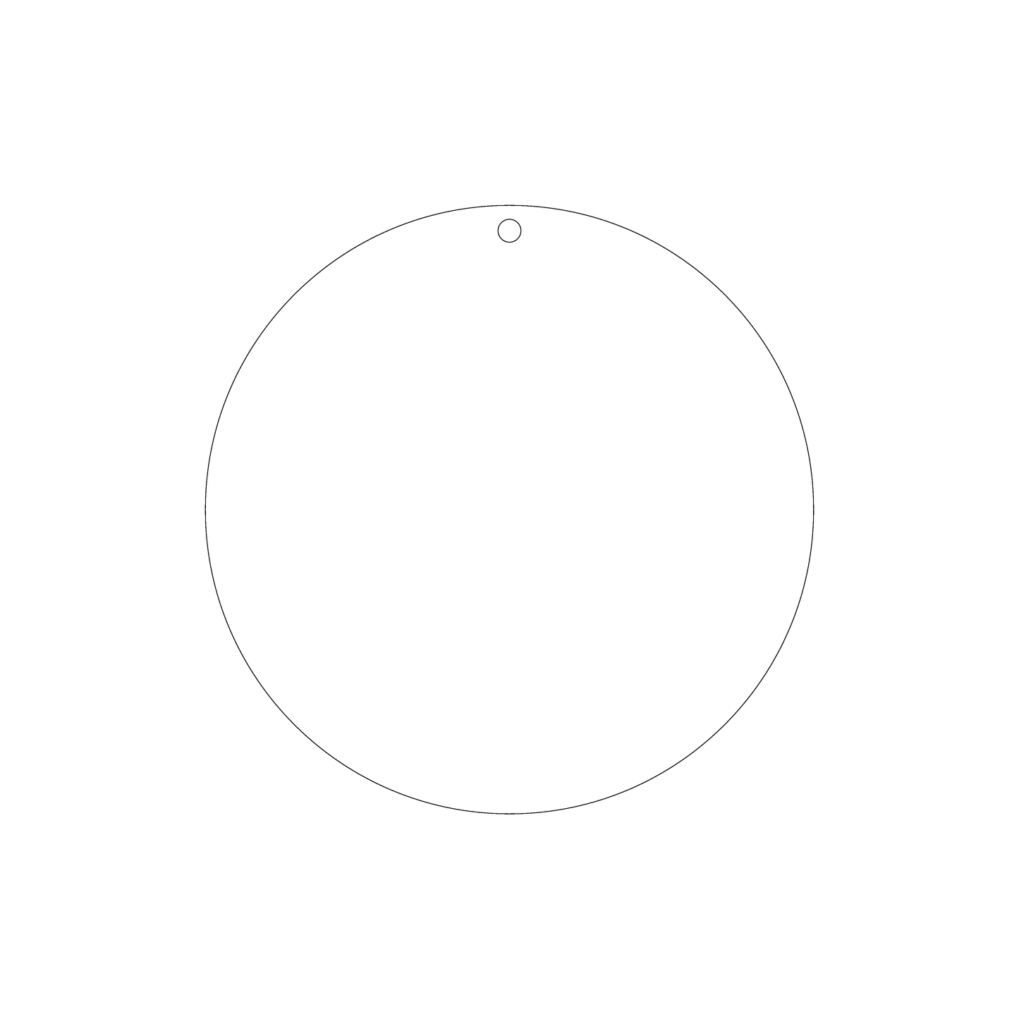 Custom Plastic 8" Large Circle Tags