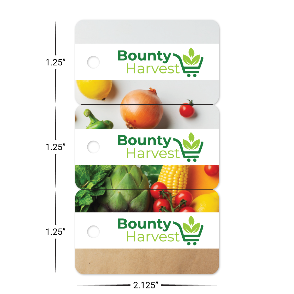 Custom Plastic 3 Key Tag Breakaway Combo