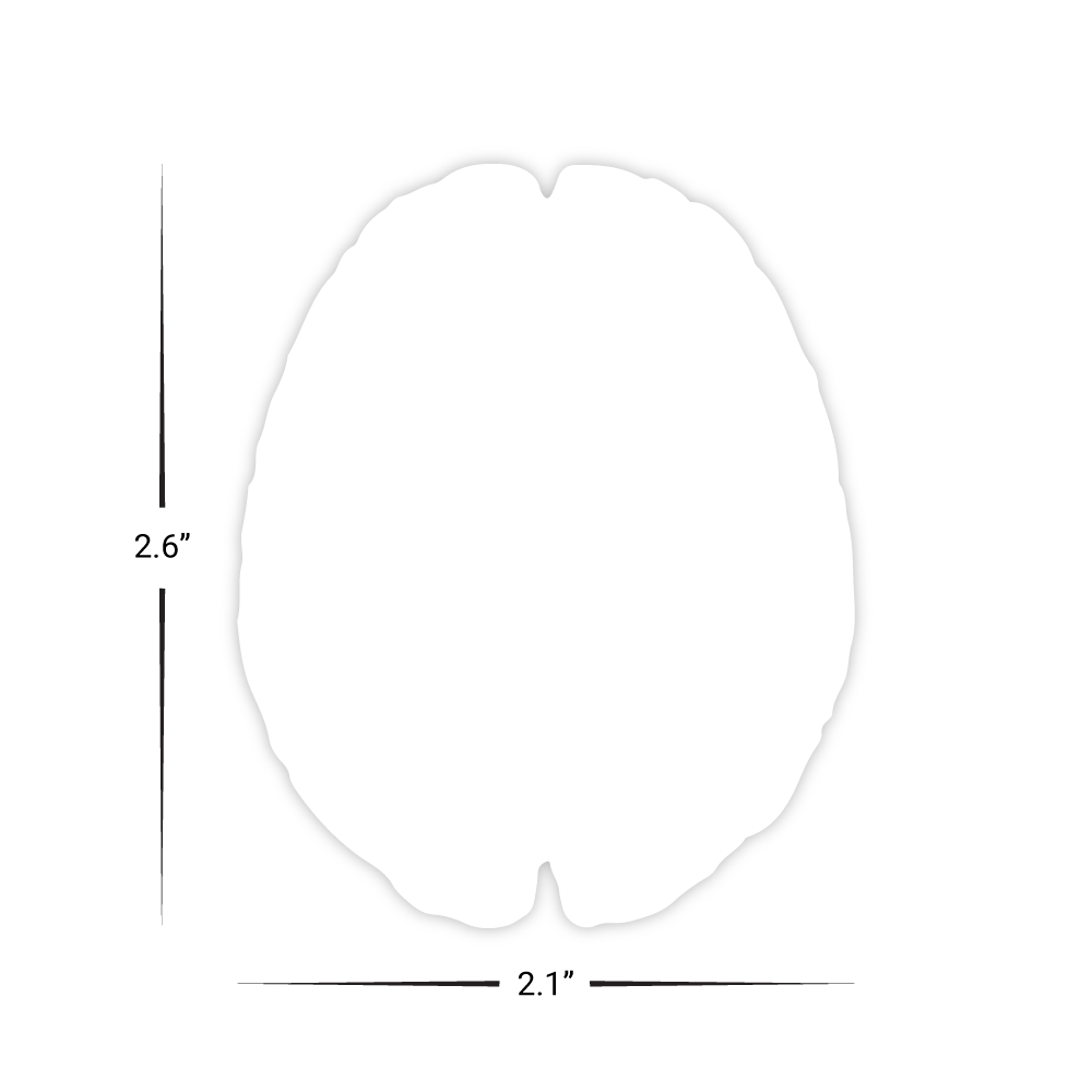 Custom Plastic 2.1" x 2.6" Brain Shape Cards