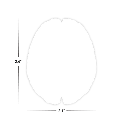 Custom Plastic 2.1" x 2.6" Brain Shape Cards