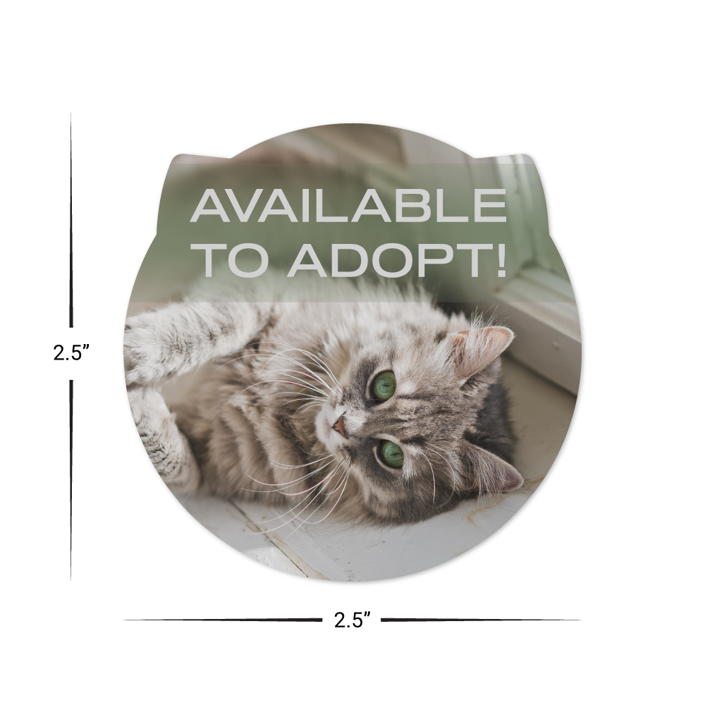 Custom Plastic 2.5" x 2.5" Cat Face Shape Cards