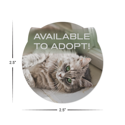 Custom Plastic 2.5" x 2.5" Cat Face Shape Cards