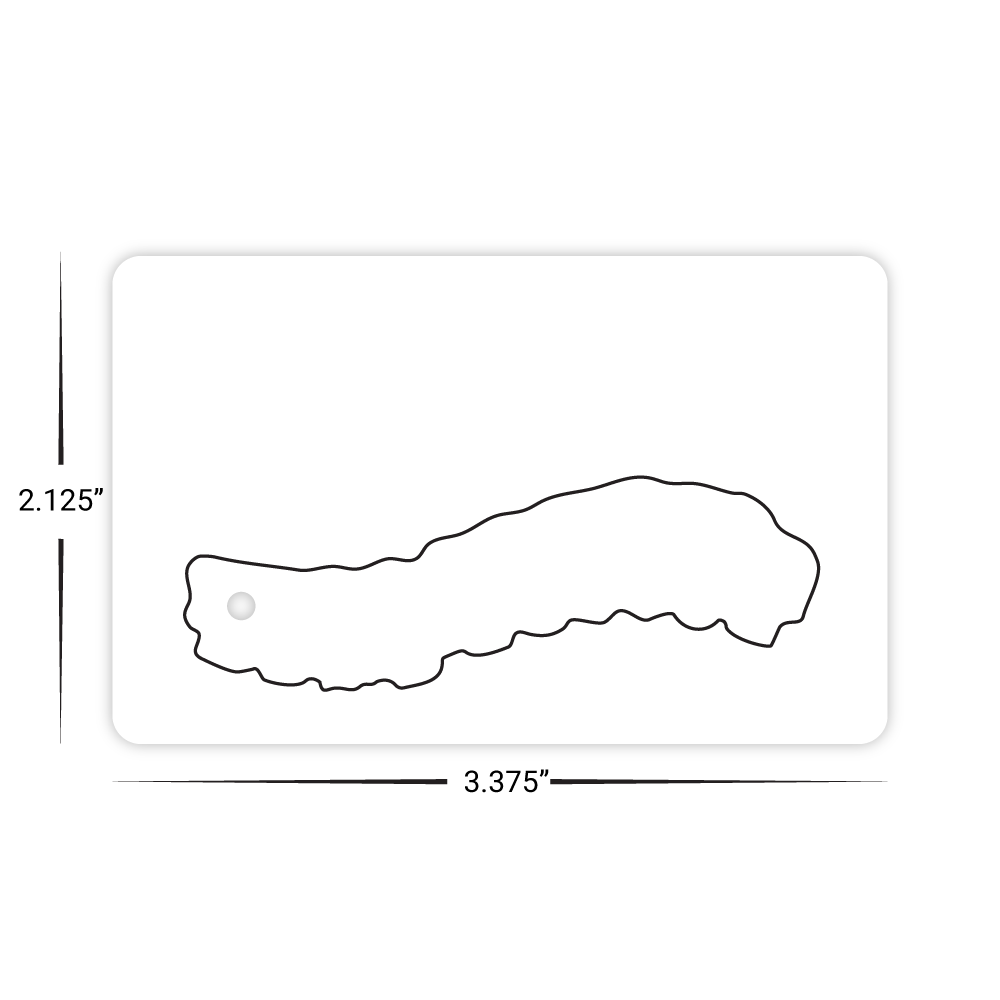 Custom Plastic 3.375" x 2.125" Punch-Out Spine Shape Key Tag
