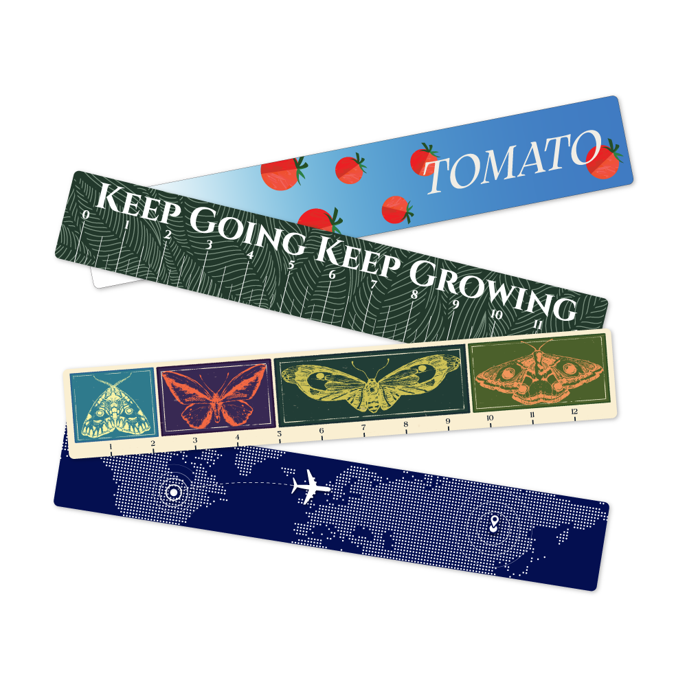 Custom Plastic 13" x 2.125" Ruler