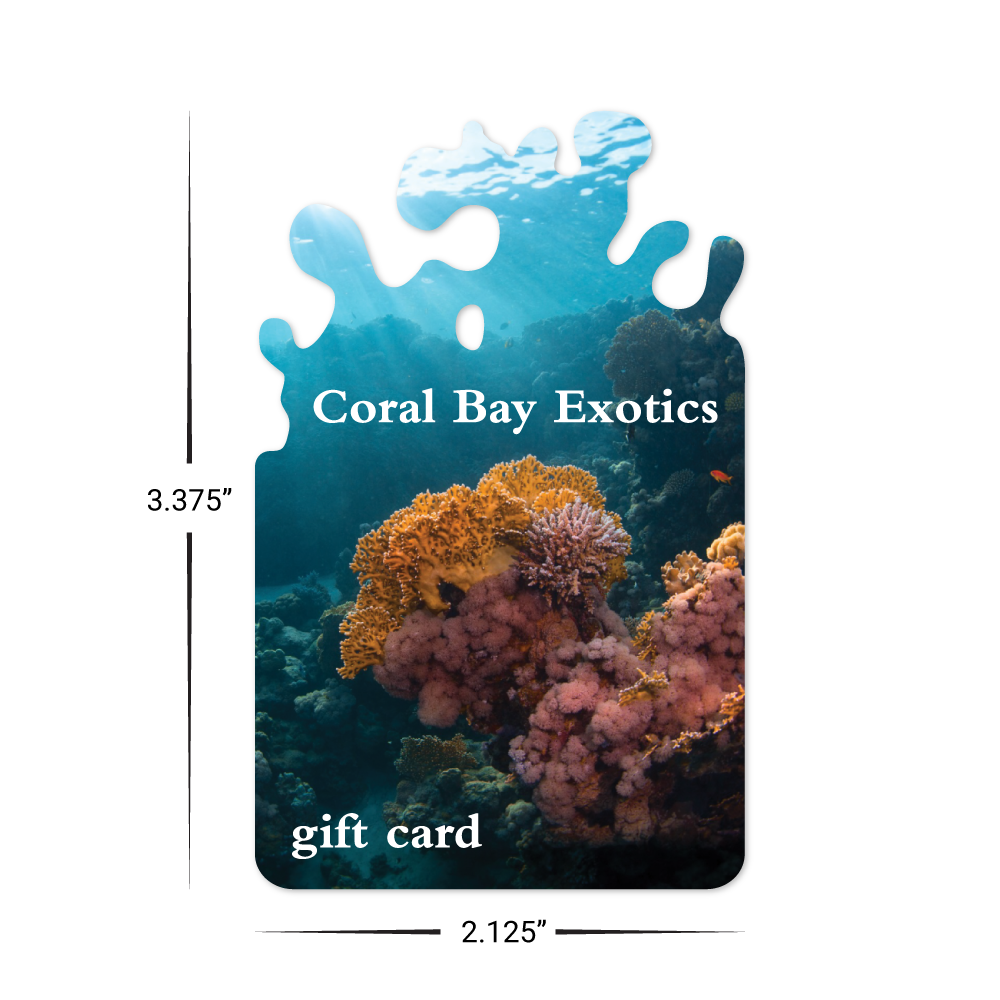 Custom Plastic 3.375" x 2.125" Water Splash Cards
