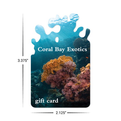 Custom Plastic 3.375" x 2.125" Water Splash Cards
