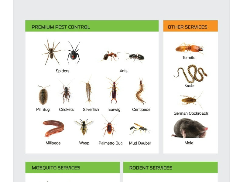 Custom Designed (WO140219)