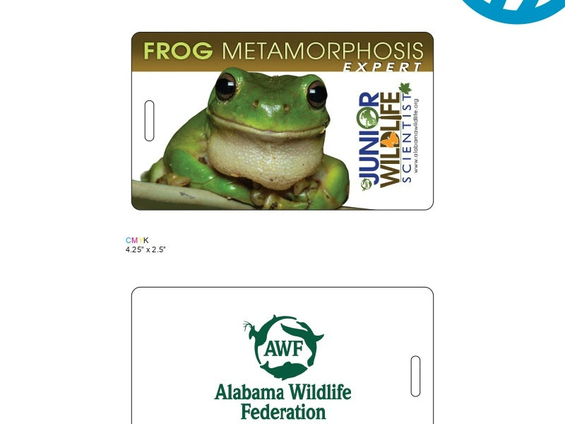 Custom Designed (WO139095)