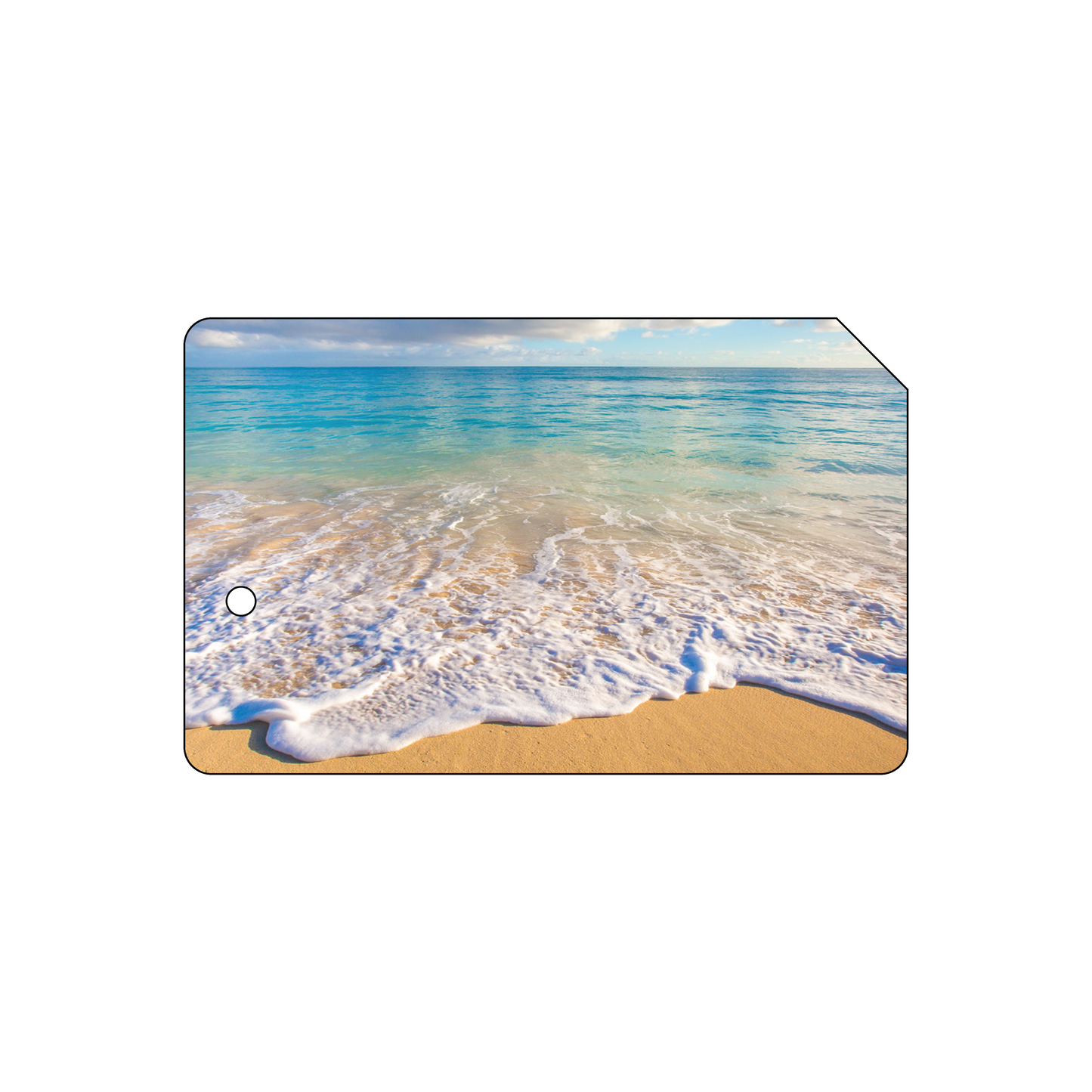 Custom Plastic 3.375" x 2.125" with Small Hole and Cut Corner Cards