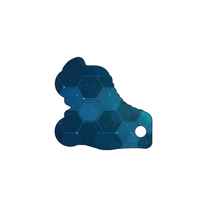 Custom Plastic 2" x 2.1" Roller Skate Shape Key Tags
