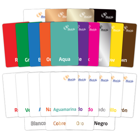 Colored Section Card Non-Hanging - 25 Pack