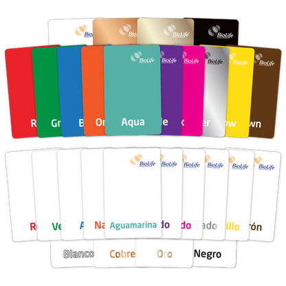 Colored Section Card Non-Hanging - 25 Pack